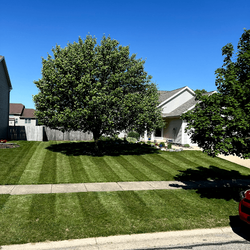 Lawn care work 41