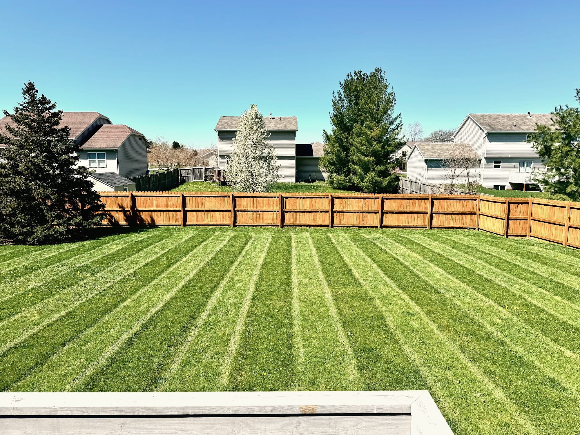 A backyard lawn mowed in stripes up to a wooden privacy fence