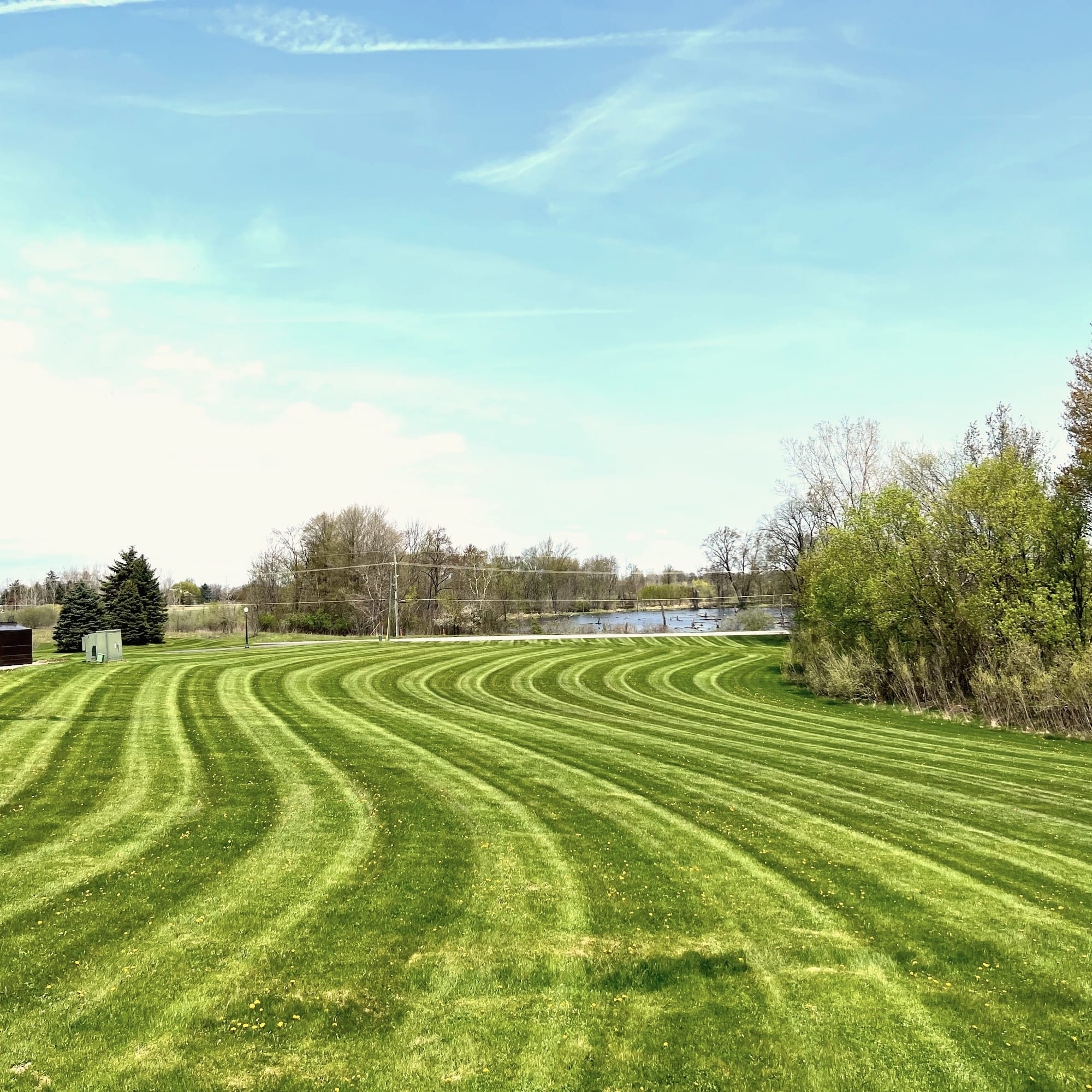 A large lawn mowed in curving stripes beside tall grass and a pond