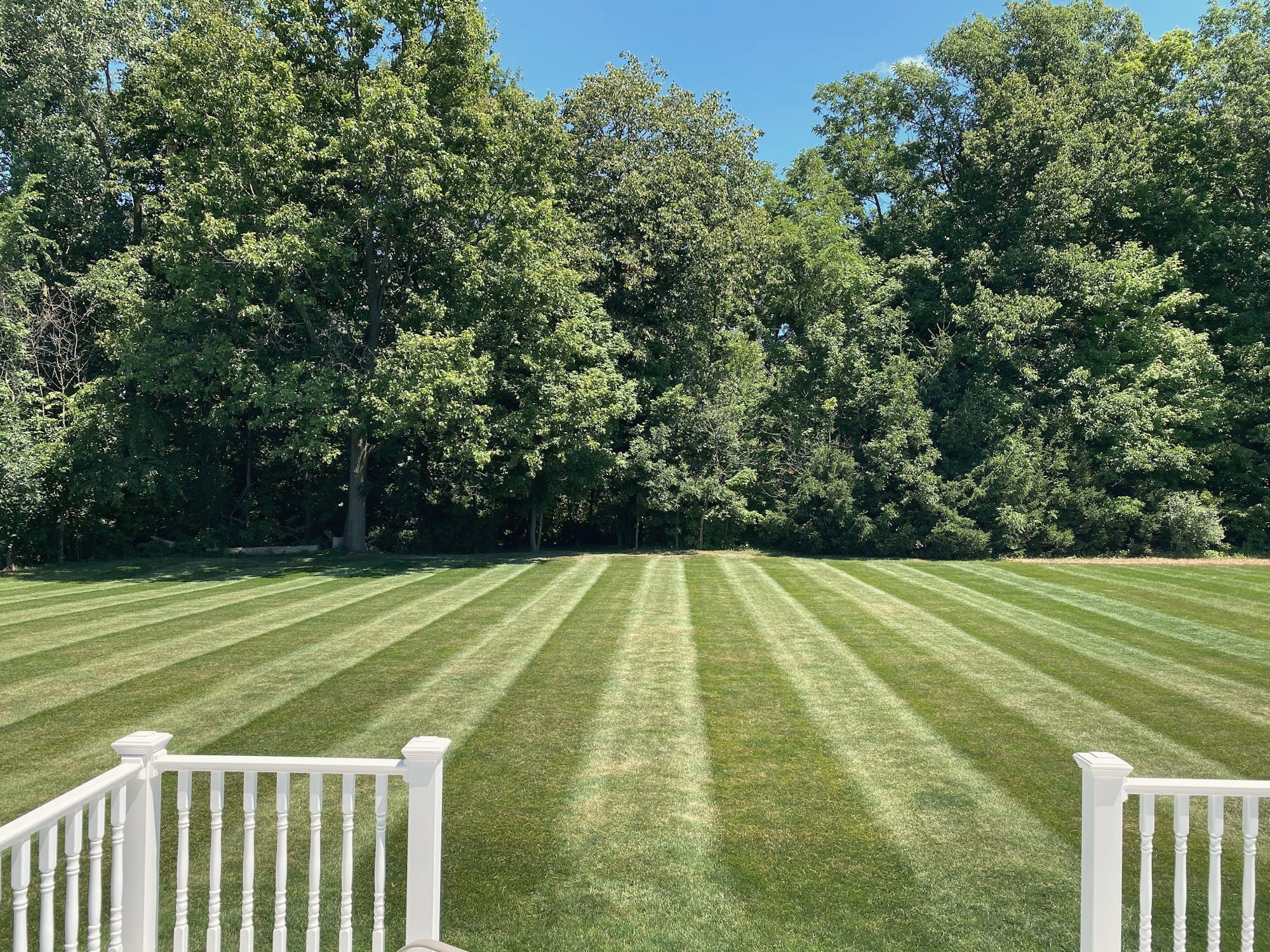 Even mowing stripes running toward a line of tall trees, seen between white railings
